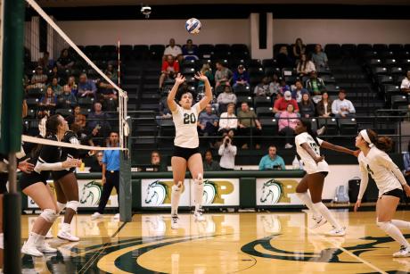 Volleyball