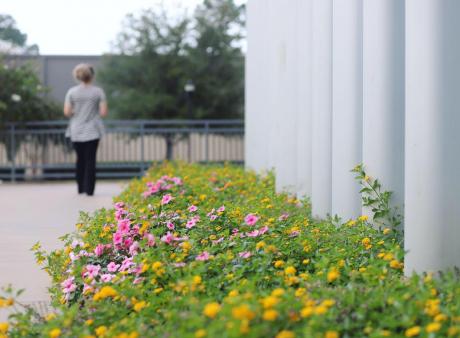 flowers in front of Matthews student center