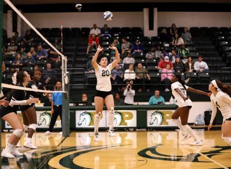 Volleyball