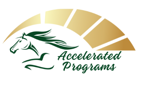Accelerated Programs pony image