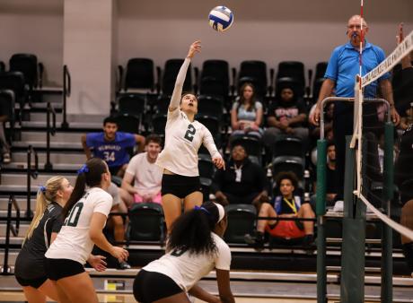 Volleyball