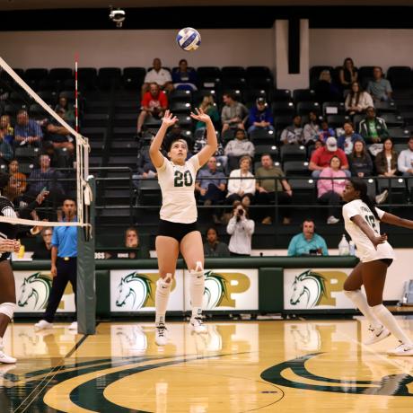 Volleyball