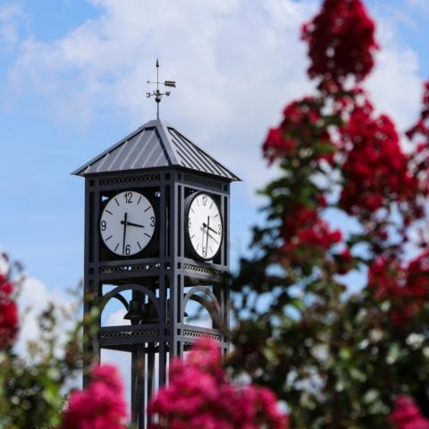 Clock Tower