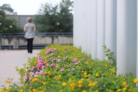 flowers in front of Matthews student center