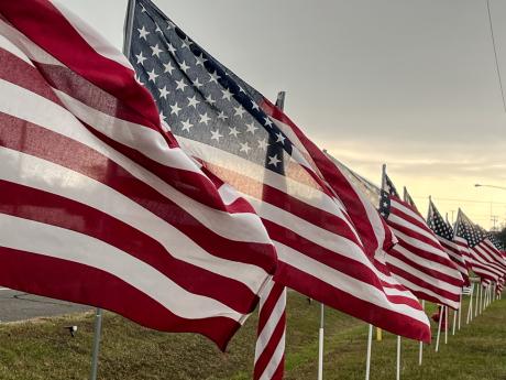 USA flags