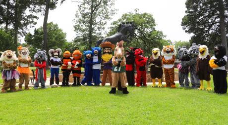 High School Mascots
