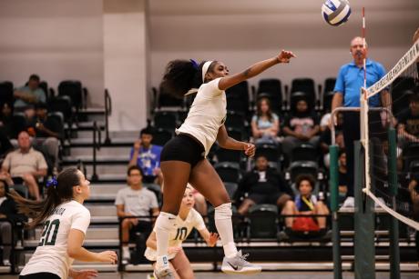 Volleyball
