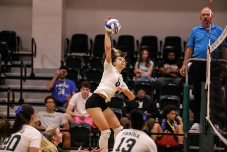 Volleyball