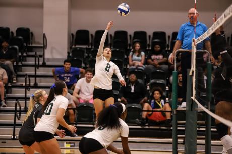 Volleyball