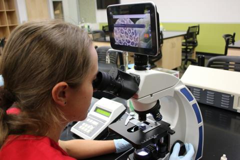 MLT student looks through a microscope