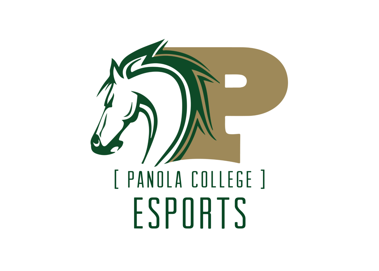 Panola College Esports