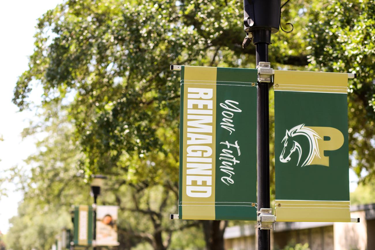 Your Future Reimagined