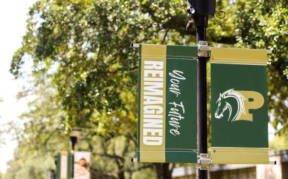 Your Future Reimagined